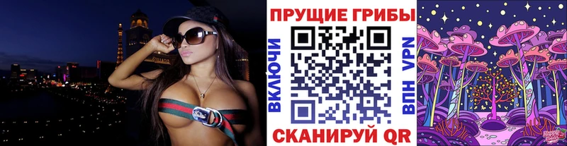 Псилоцибиновые грибы Psilocybe  где найти наркотики  omg сайт  Алейск 