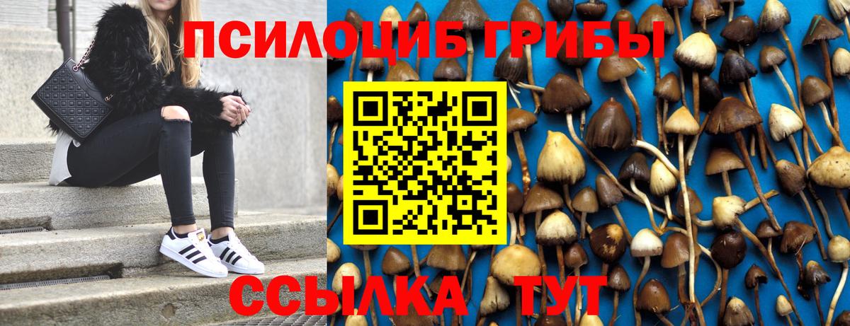 Псилоцибиновые грибы GOLDEN TEACHER  Вход с VPN  Алейск 